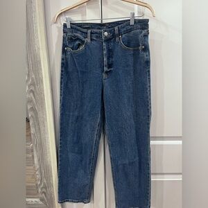 Wild fable highest rise straight jeans size 10